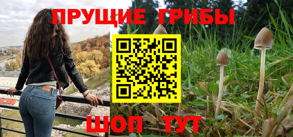 Псилоцибиновые грибы прущие грибы Балашиха