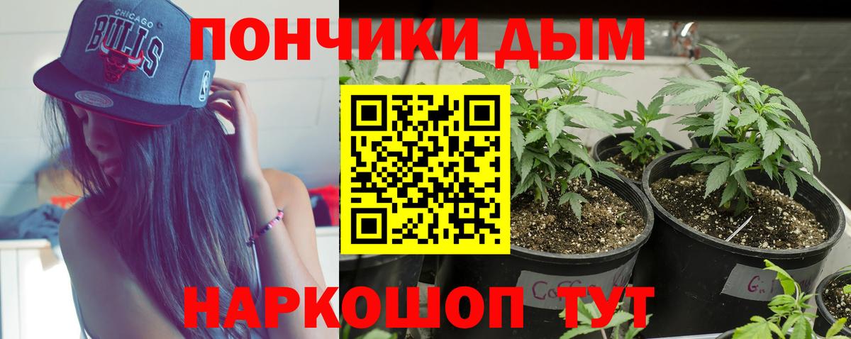 МАРИХУАНА сатива  Шишки марихуана марихуана  Балашиха  Конопля сатива  Вход с VPN 